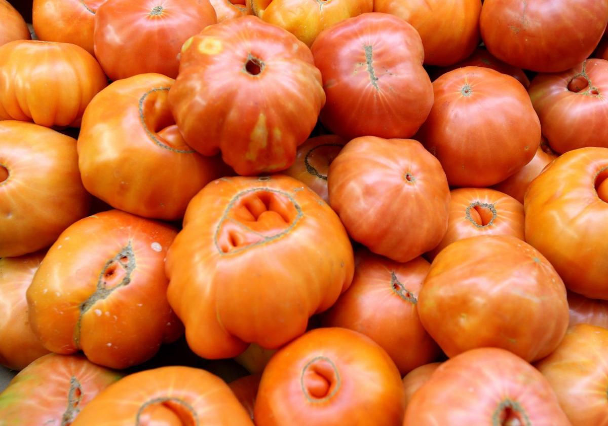 Tomates maduros para ensalada.