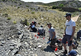 Imágenes de la excavación de Las Cerradas de Igea