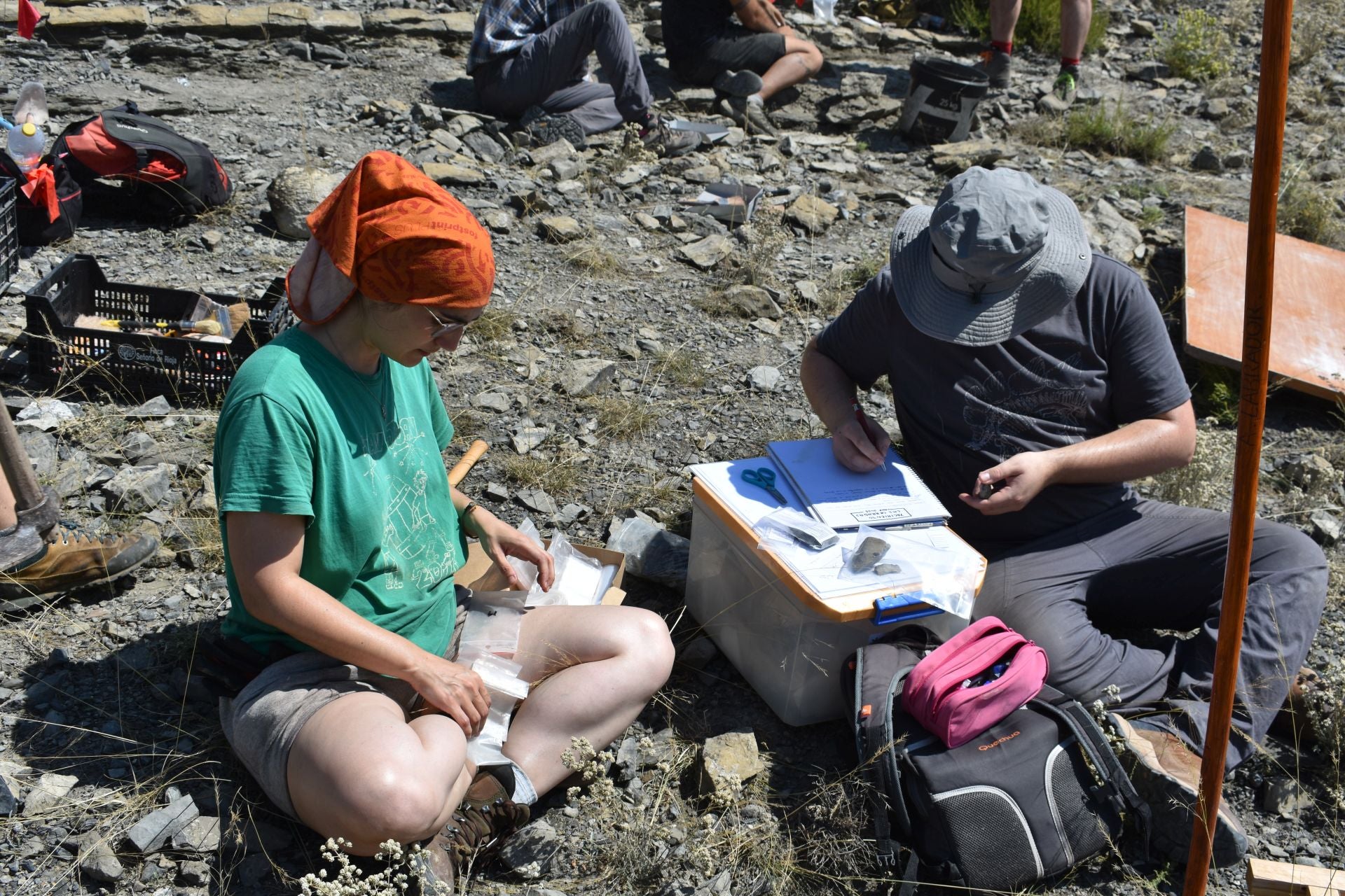 Imágenes de la excavación de Las Cerradas de Igea