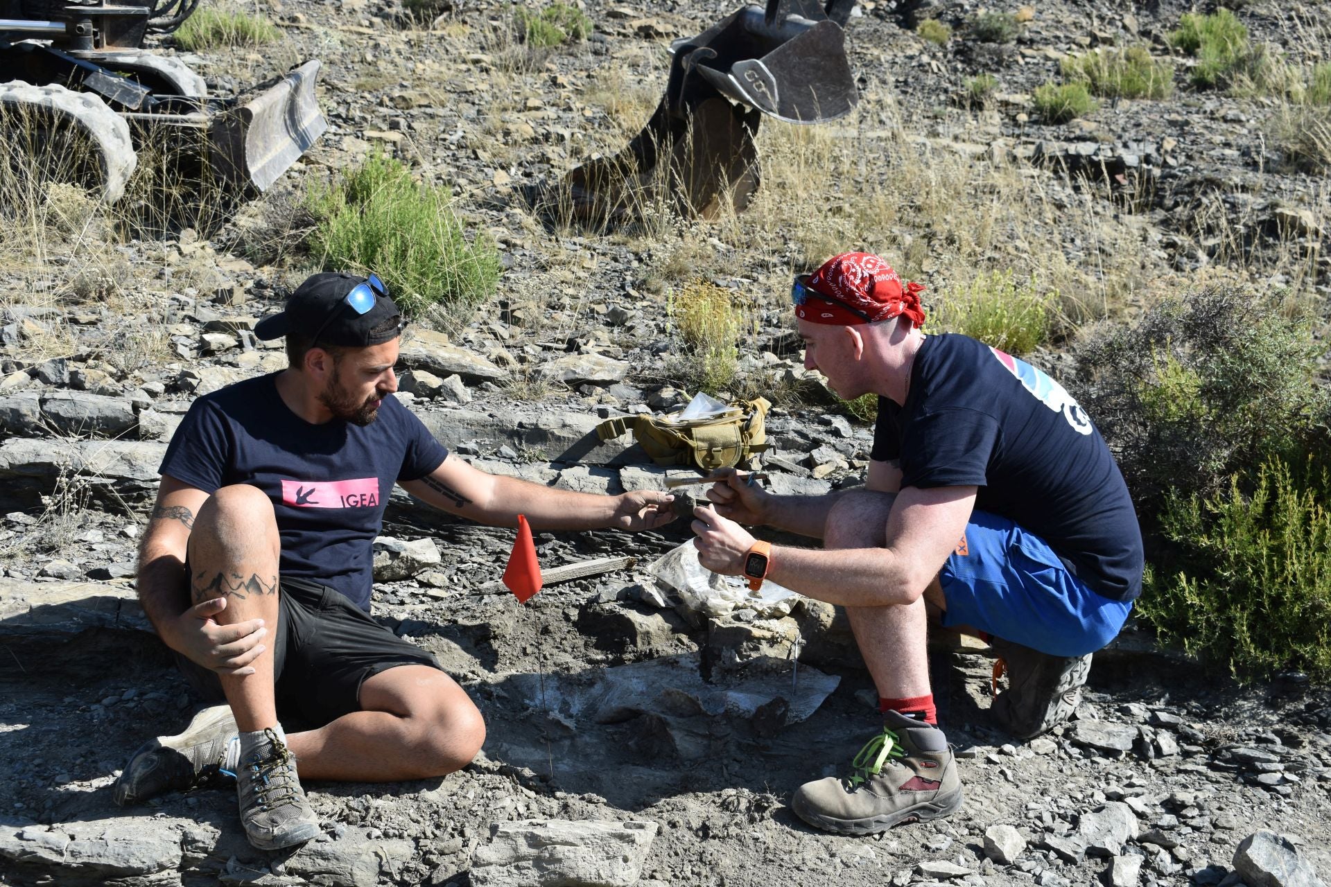 Imágenes de la excavación de Las Cerradas de Igea