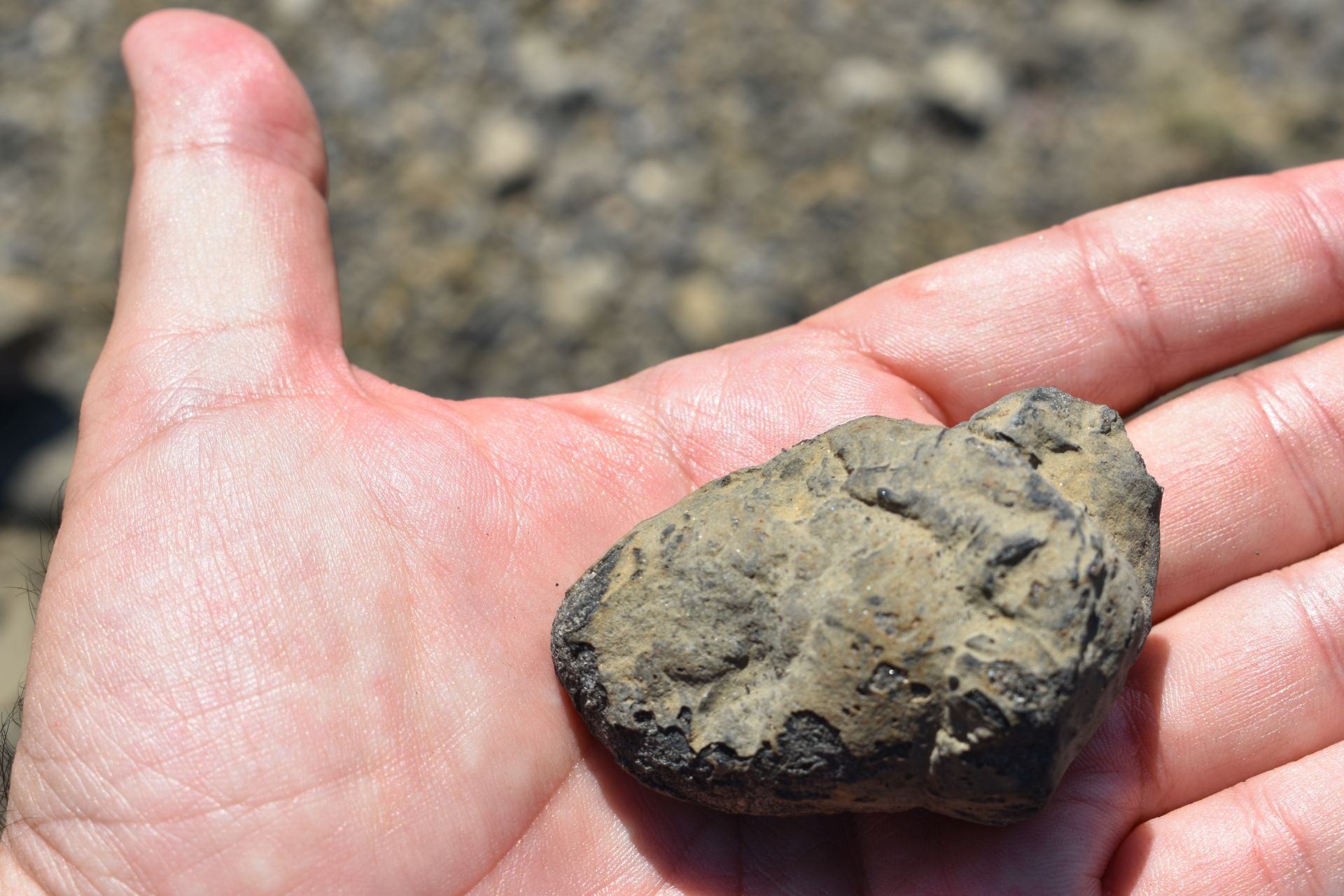 Imágenes de la excavación de Las Cerradas de Igea