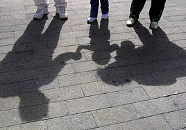 Las adopciones se reducen a mínimos en La Rioja, con un solo caso este año