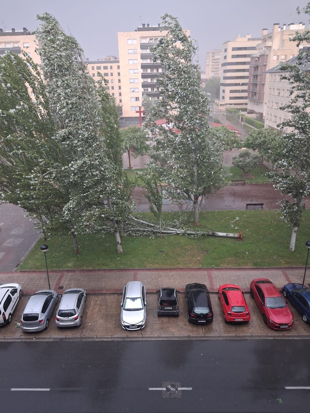 Las imágenes de la fuerte tormenta caída en Logroño