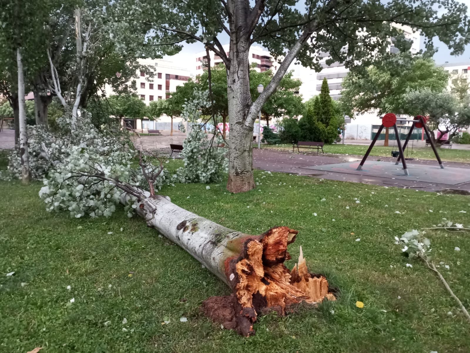 Las imágenes de la fuerte tormenta caída en Logroño
