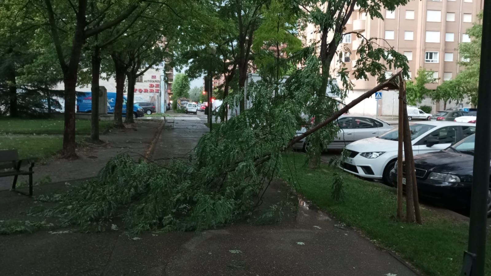 Las imágenes de la fuerte tormenta caída en Logroño