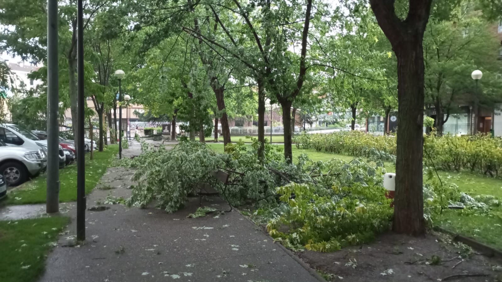 Las imágenes de la fuerte tormenta caída en Logroño