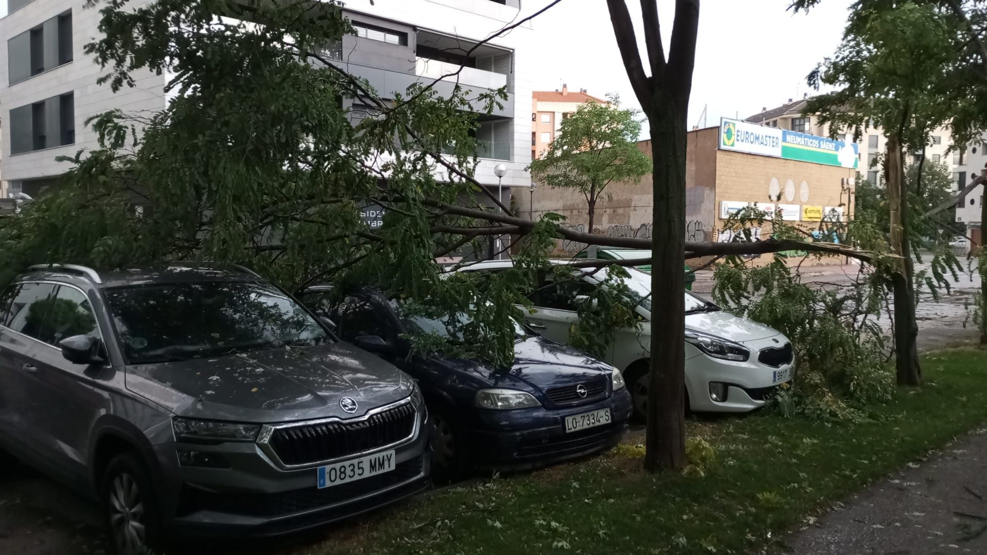 Las imágenes de la fuerte tormenta caída en Logroño