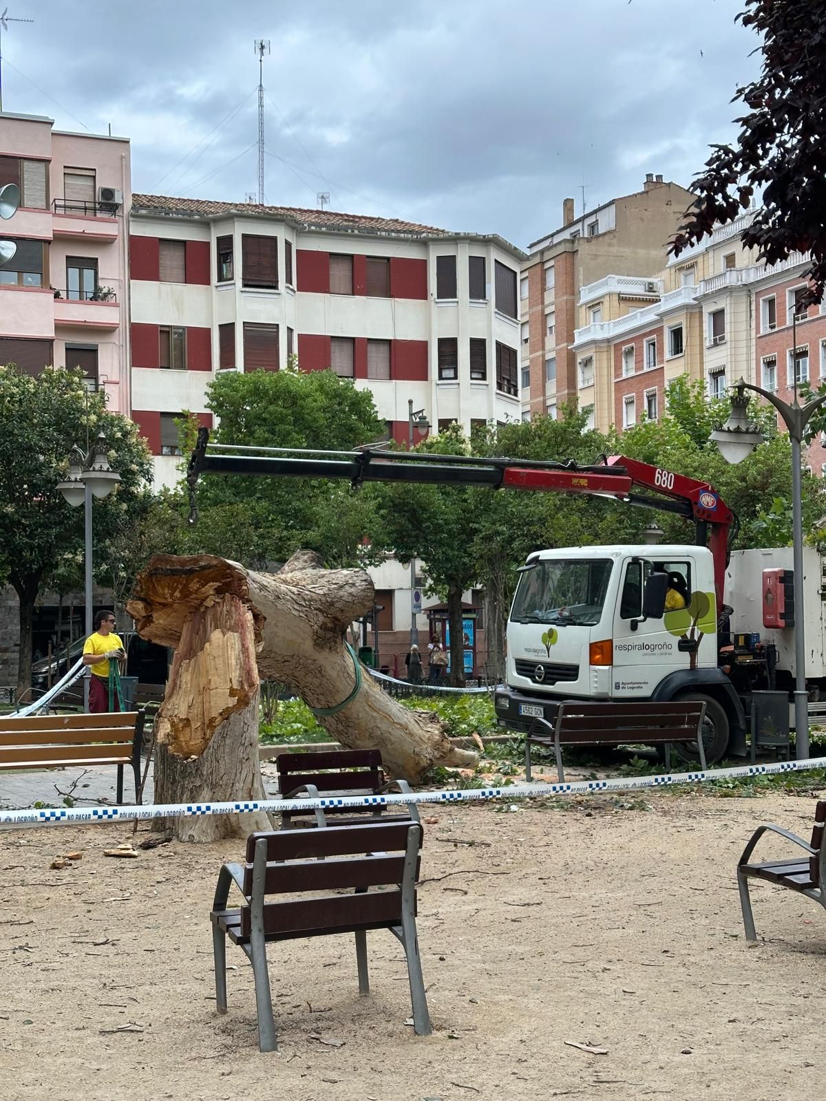 El viento arrancó de cuajo un árbol en el parque Gallarza.