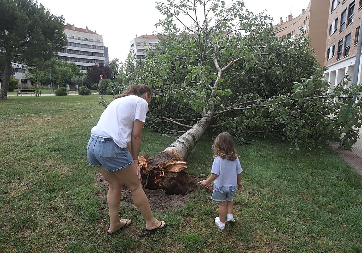 Las noticias imprescindibles