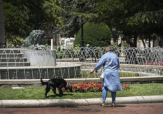Una mujer pasea con su perro por El Espolón.