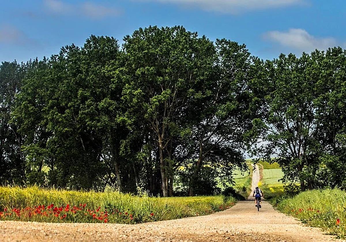 Camino de Santiago cerca de Santo Domingo.