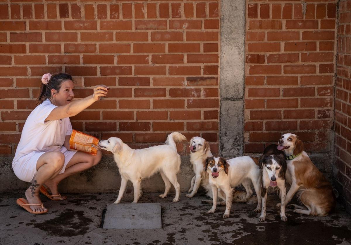 Merche, voluntaria de Animales Rioja, posa con algunos de los perros que custodia la entidad.