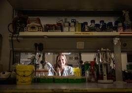 La doctora Arantza Portillo, el jueves en uno de los laboratorios del Cretav-Cibir.