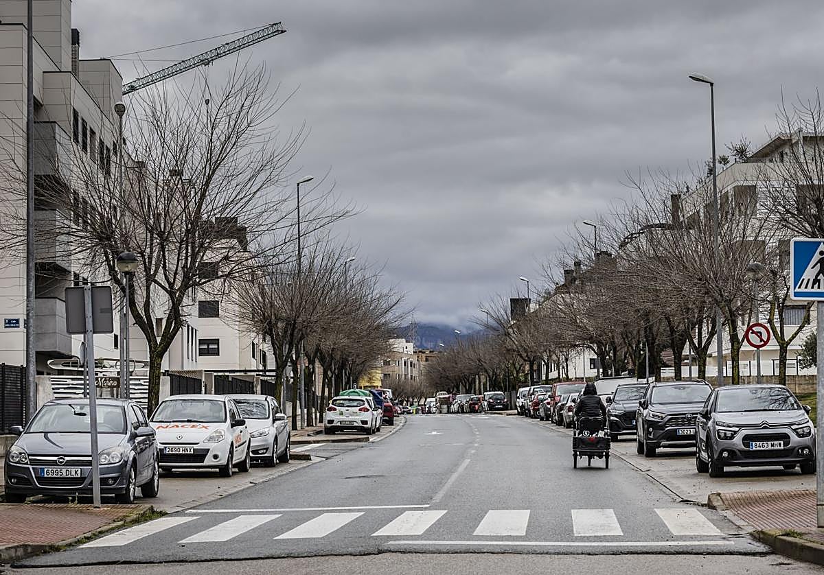 Calle Río Ebro del barrio Entre Ríos de Lardero, durante el pasado invierno