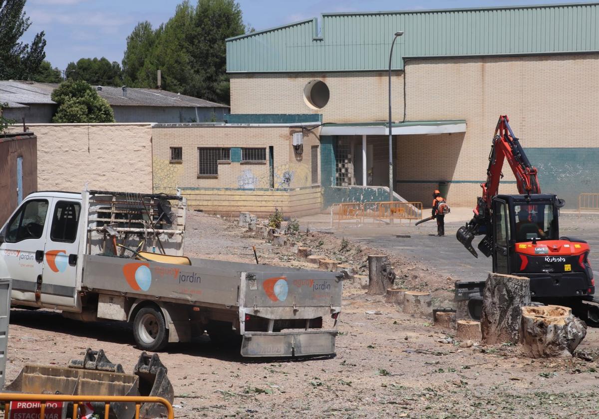 Los trabajos comenzaron esta semana por la tala de los árboles.