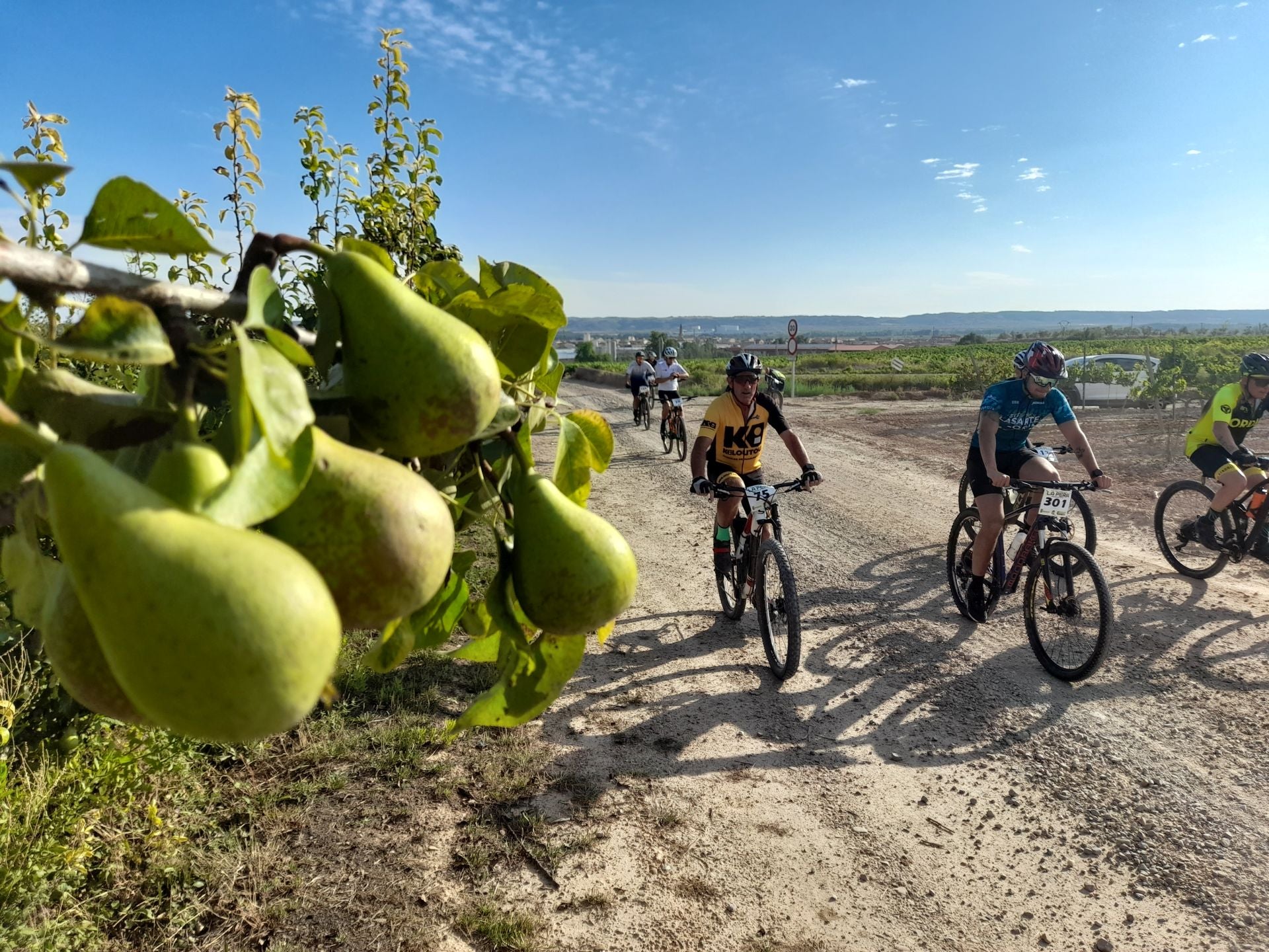 La XVII Travesía BTT La Pera de Rincón de Soto