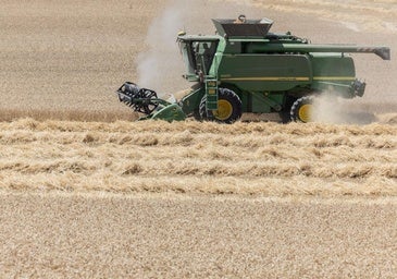 La puntilla para sectores como el del cereal, que ya sufre por su baja rentabilidad