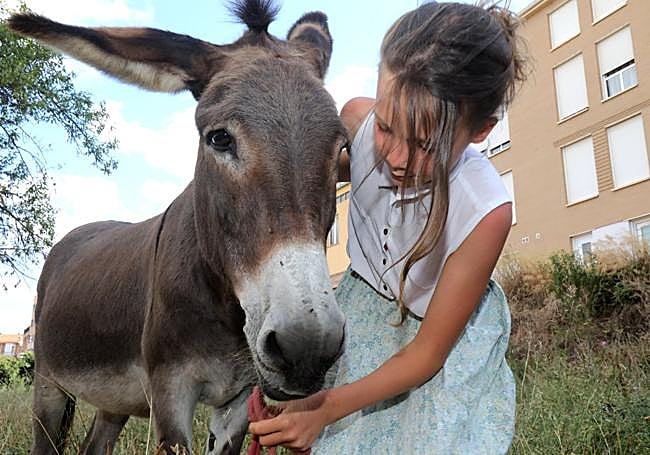 Alexia acaricia asu burro Dumbo en Navarrete.