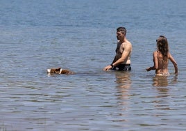 Una pareja disfruta con su perro en el Club Náutico El Rasillo durante este verano.