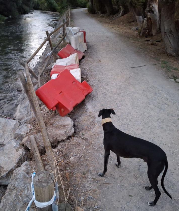 Imagen secundaria 2 - Una tienda de campaña, basura y desperfectos en el parque del Iregua de Logroño.