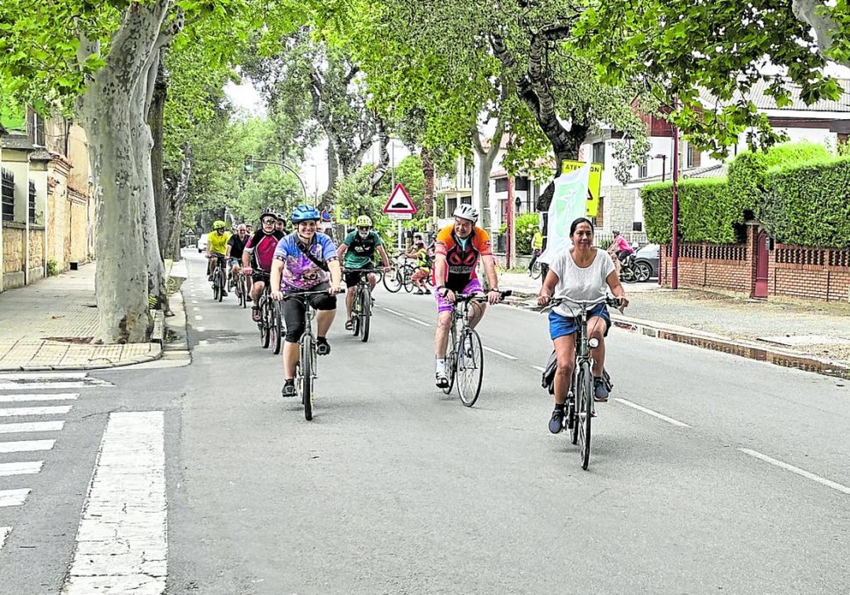 Bicicletada convocada por Ecologistas en Acción hace un mes bajo los álamos que suponen en riesgo.