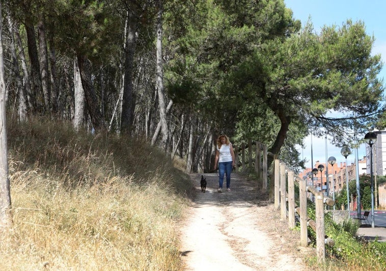 Parque de los Enamorados, en el barrio de Valdegastea.