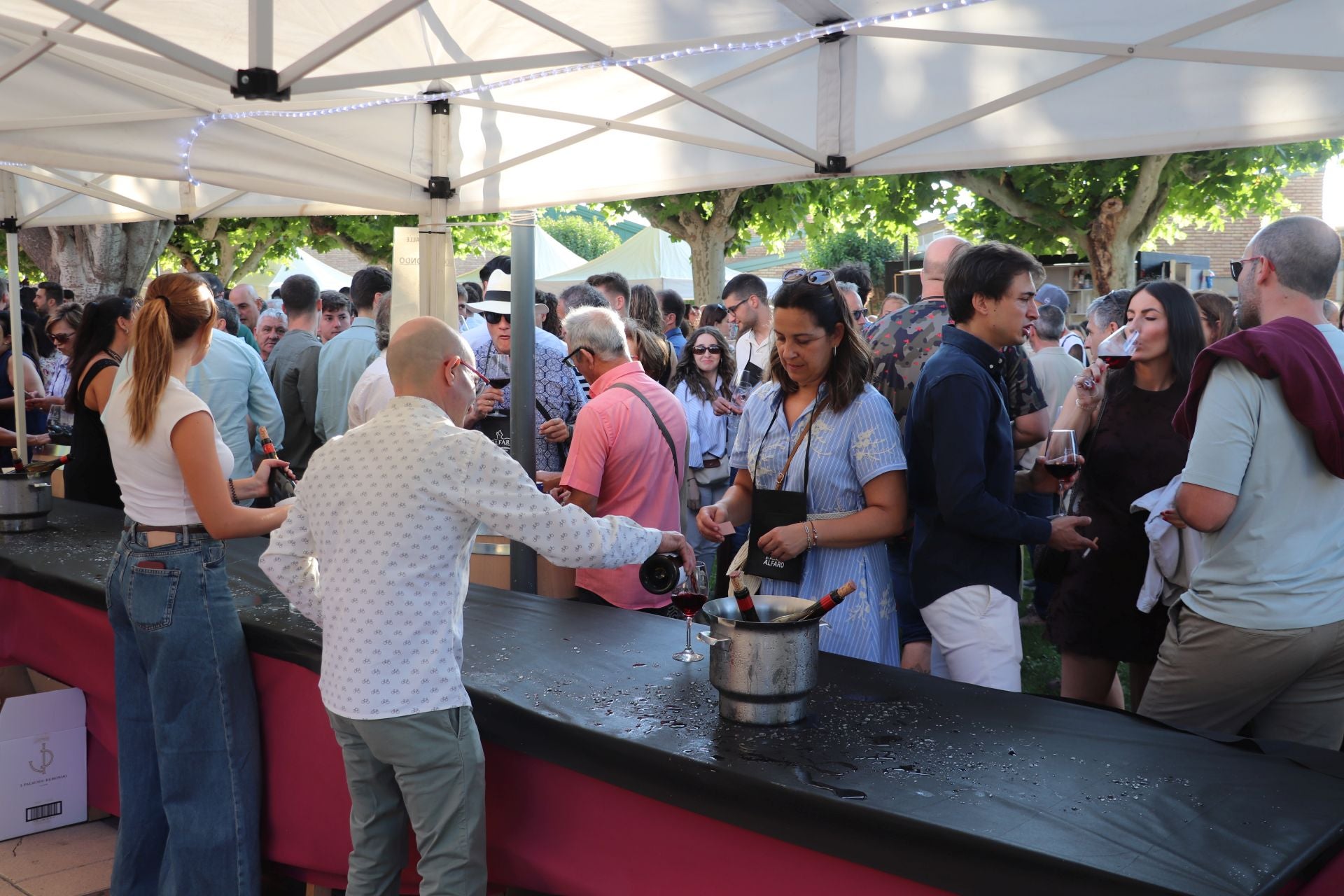 Décimo cuarta edición del Bodegas en la Calle en Alfaro