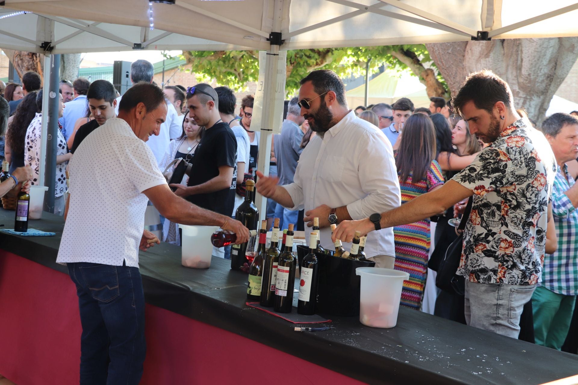 Décimo cuarta edición del Bodegas en la Calle en Alfaro