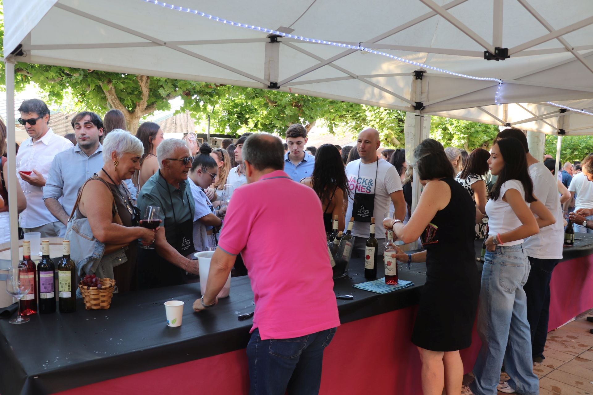 Décimo cuarta edición del Bodegas en la Calle en Alfaro