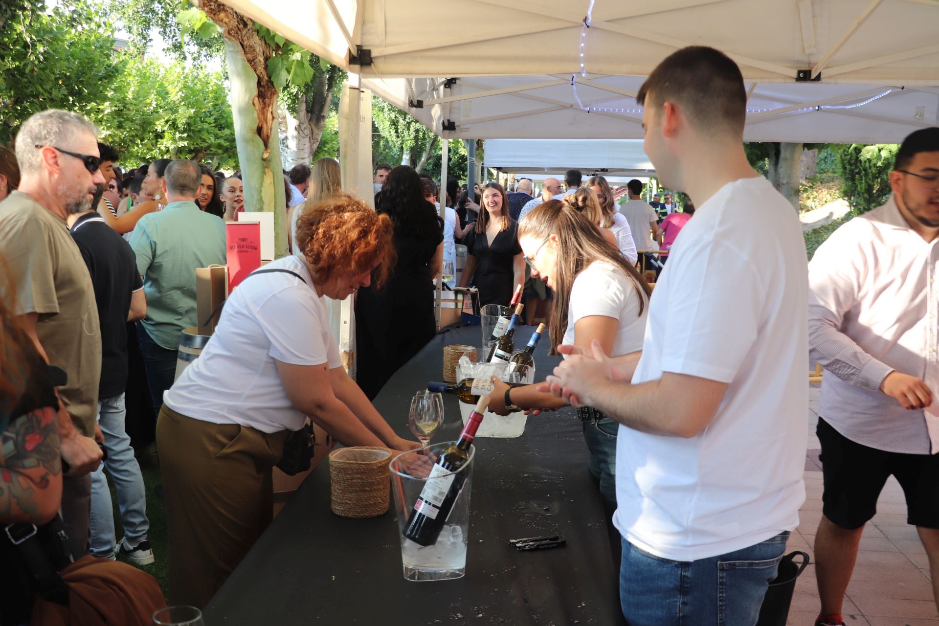 Décimo cuarta edición del Bodegas en la Calle en Alfaro
