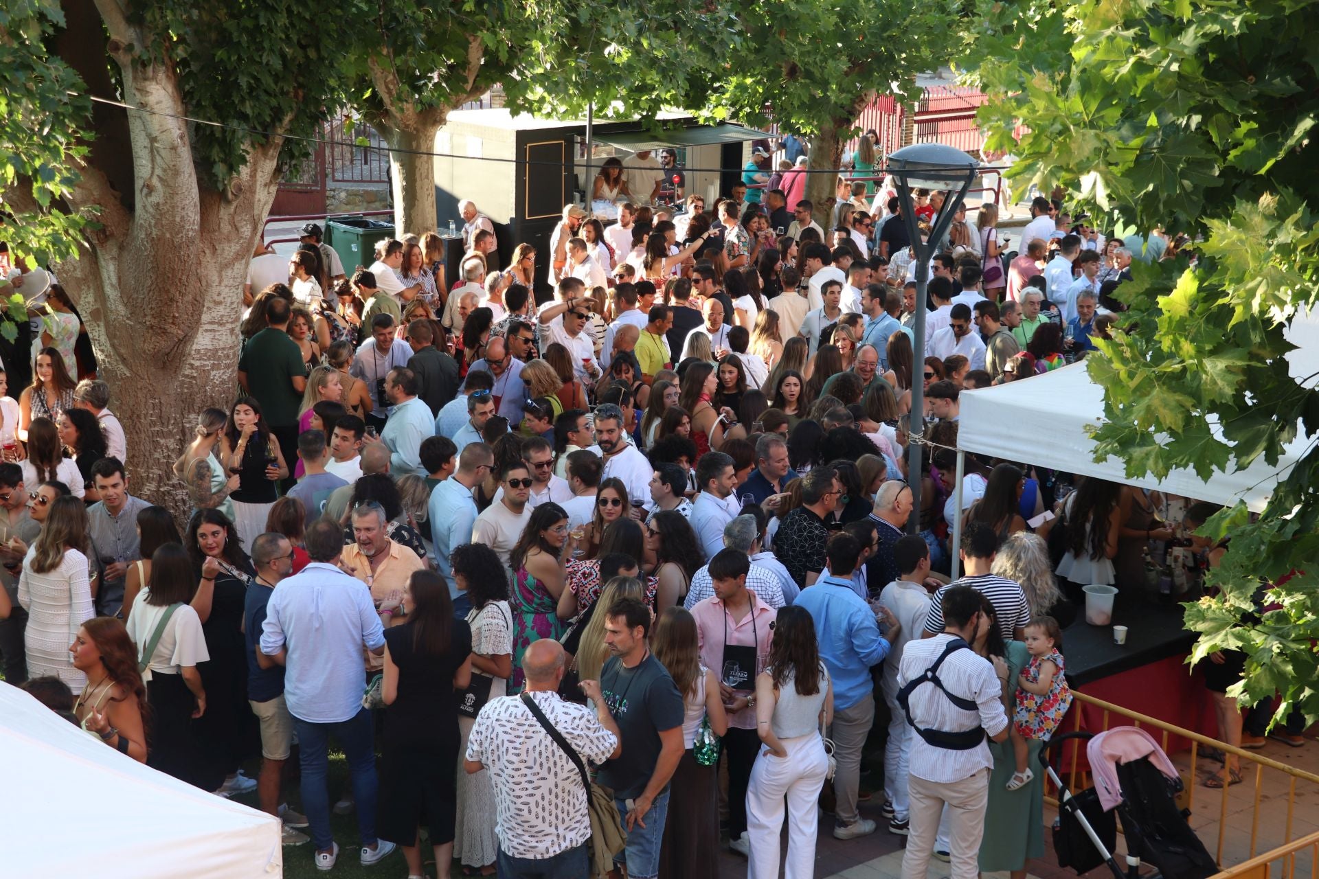 Décimo cuarta edición del Bodegas en la Calle en Alfaro