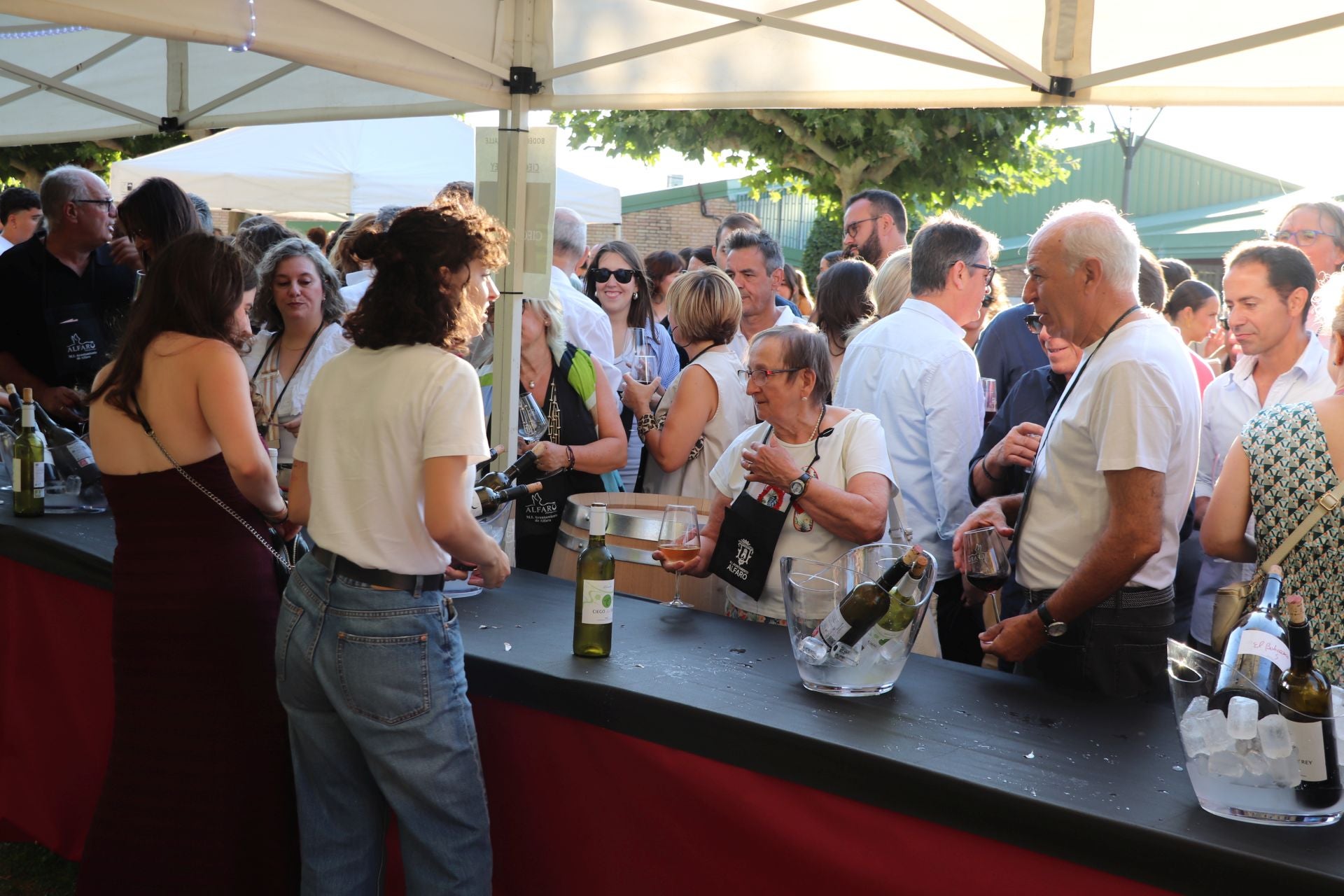 Décimo cuarta edición del Bodegas en la Calle en Alfaro