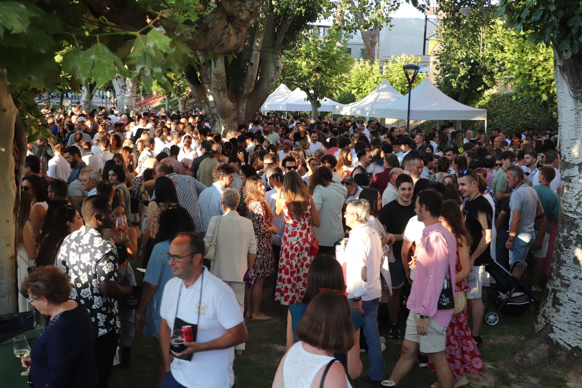 Décimo cuarta edición del Bodegas en la Calle en Alfaro