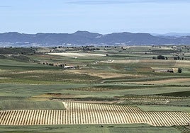 Vista general de distintos campos de cultivo riojanos.