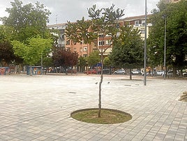 Suciedad, ladridos y caminos olvidados, hoy en el Teléfono del Lector