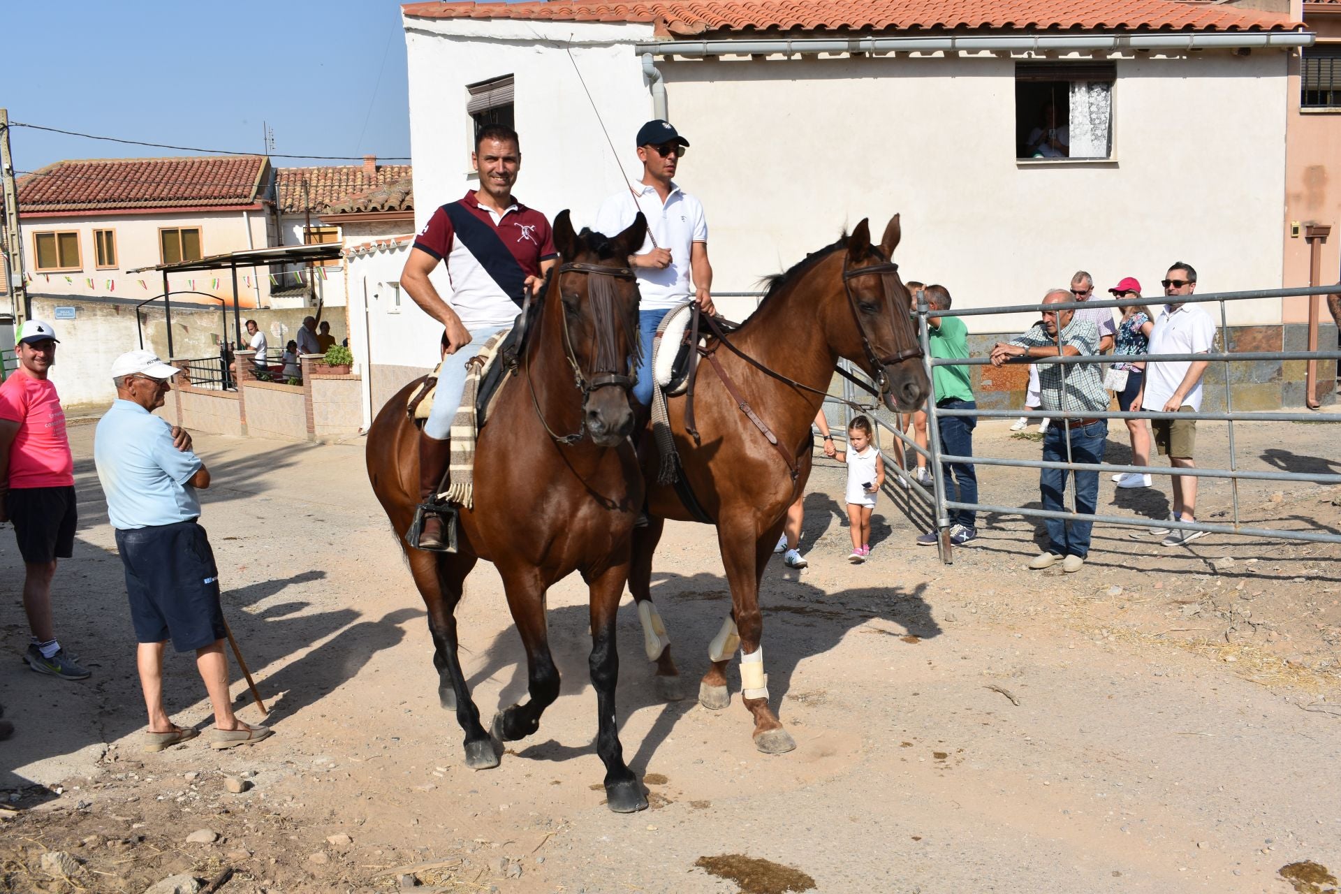 La saca de vacas de Valverde