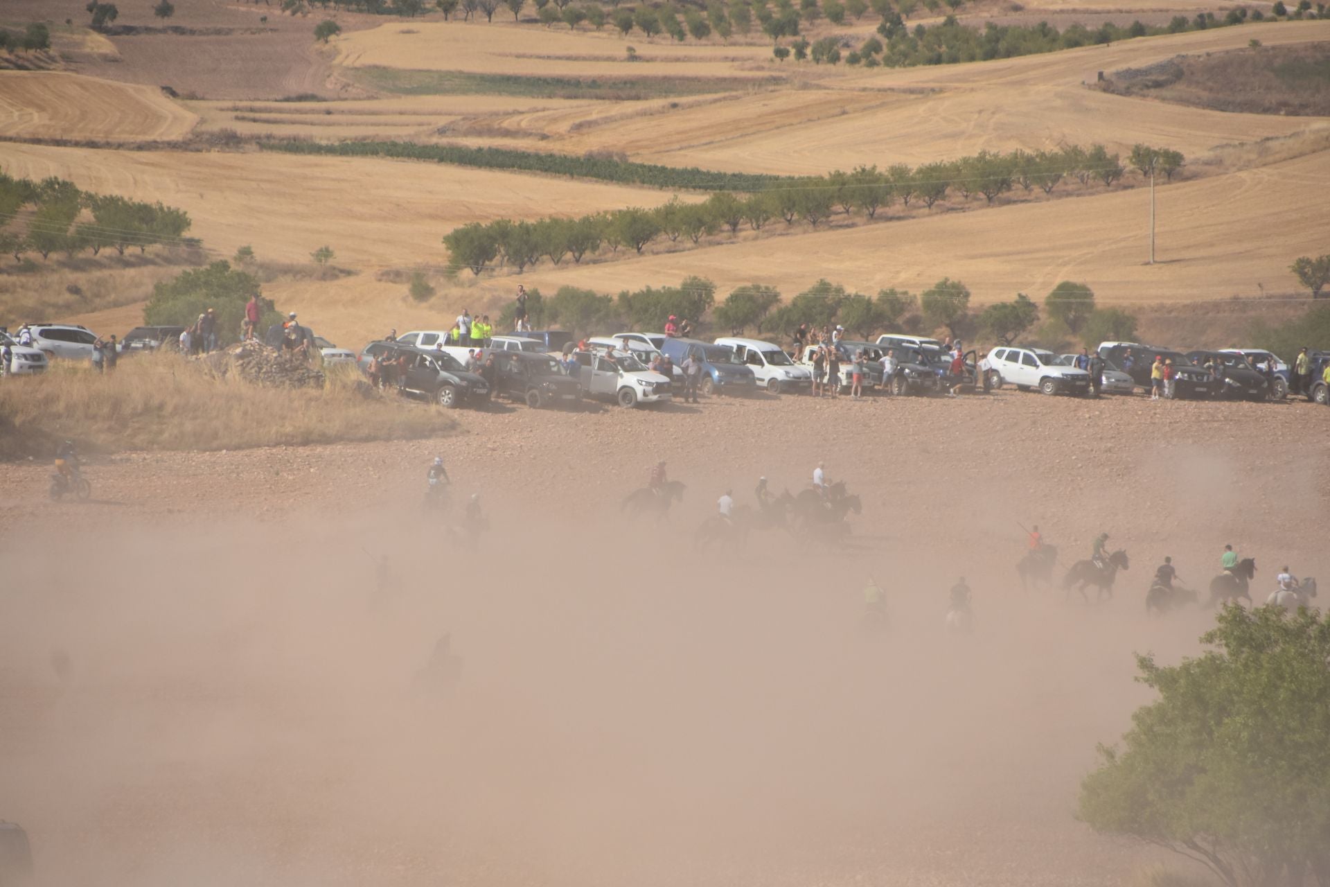 La saca de vacas de Valverde