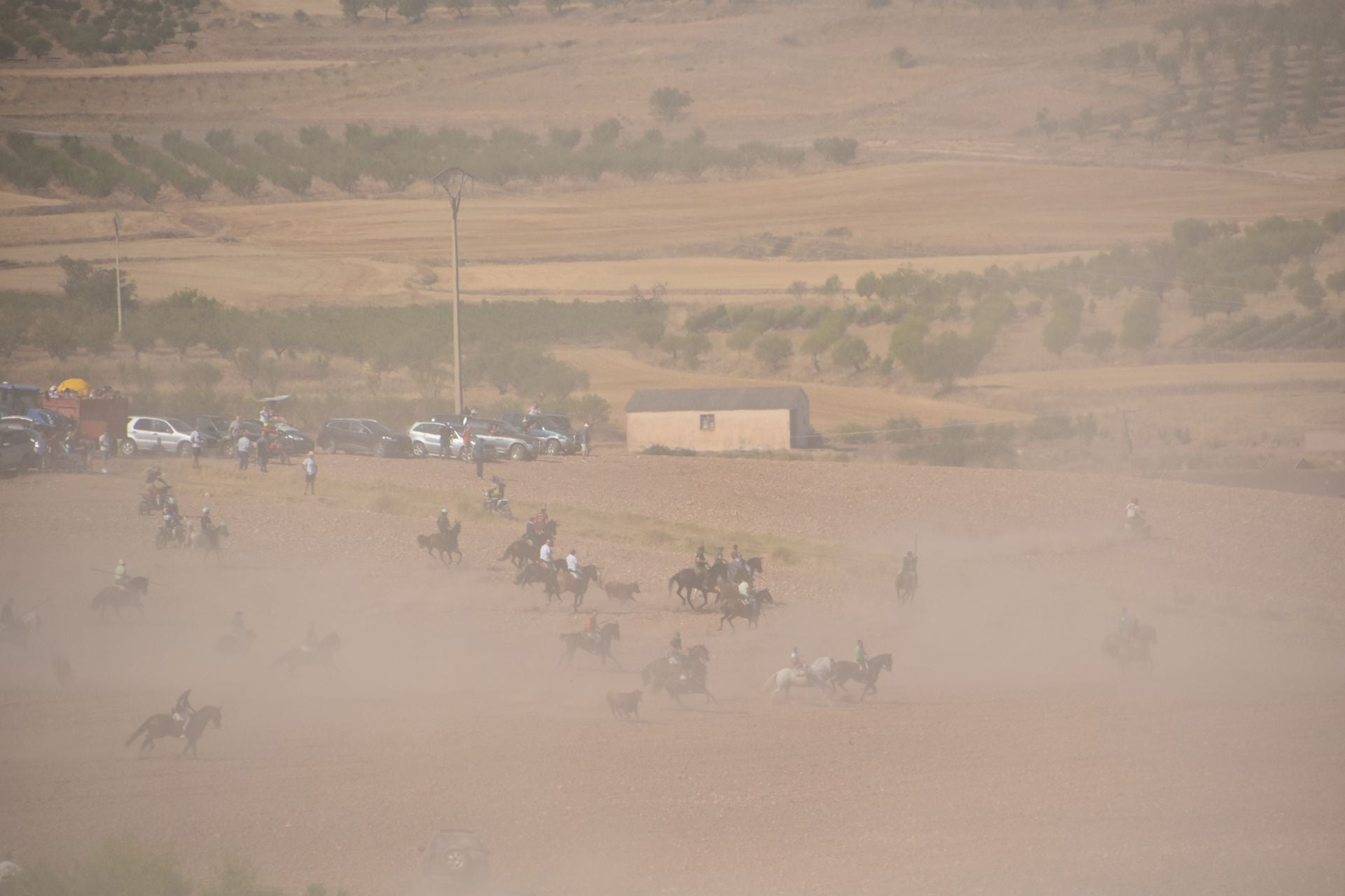 La saca de vacas de Valverde