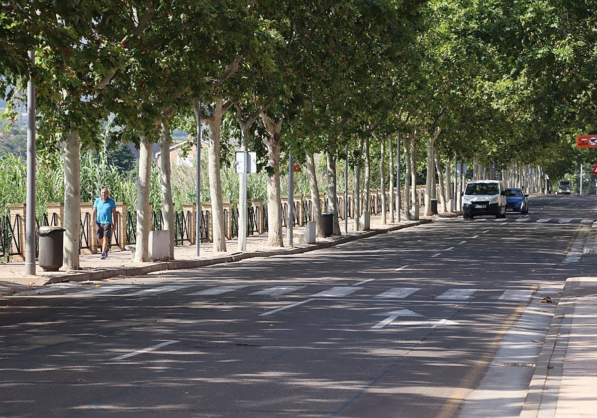 El arbolado de avenida del Cidacos constituye un refugio climático natural gracias al túnel de sombra que genera.