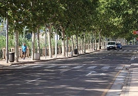 El arbolado de avenida del Cidacos constituye un refugio climático natural gracias al túnel de sombra que genera.
