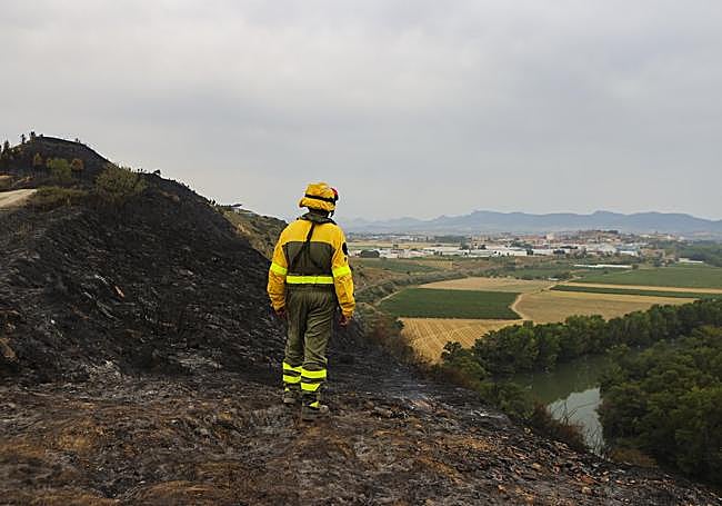 Un bombero forestal observa la zona devastada en Gimileo, cuyo fuego saltó a la orilla alavesa.
