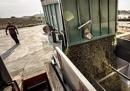 Descarga de los primeros tempranillos blancos en las tolvas de Bodegas y Viñedos Ilurce.