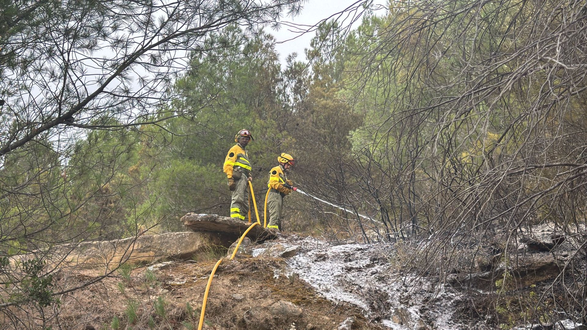 Bomberos trabajan en la zona quemada para evitar nuevos incendios.