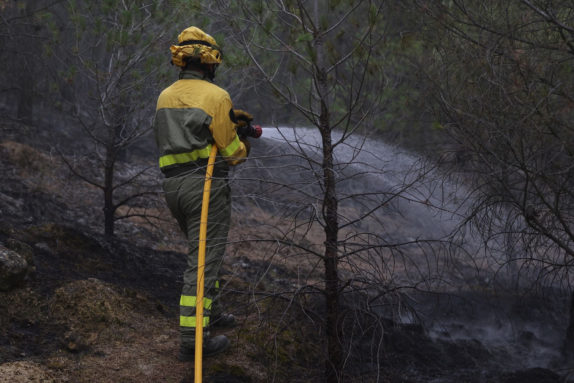 El día después del incendio en Fonzaleche y Gimileo