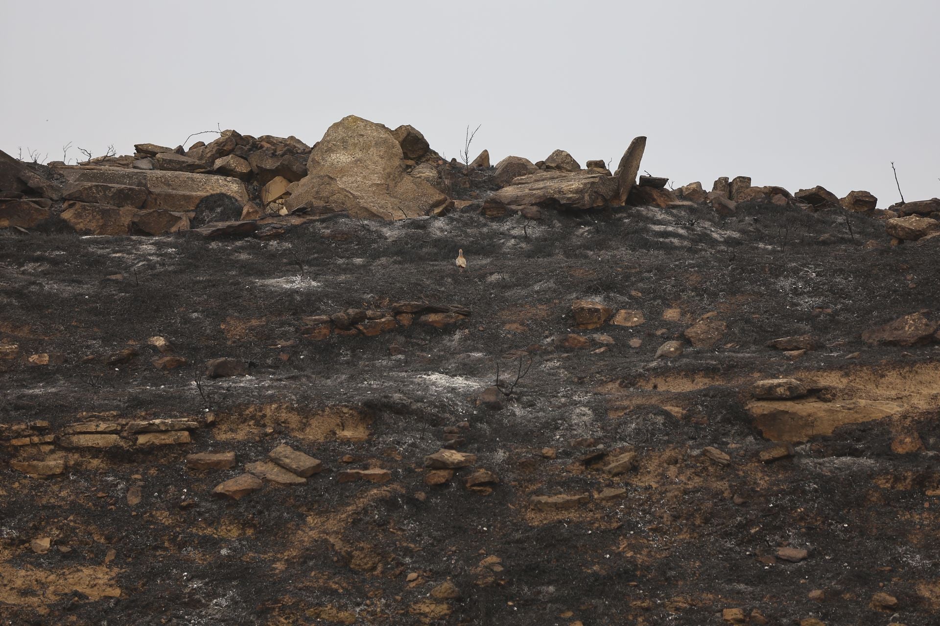 El día después del incendio en Fonzaleche y Gimileo