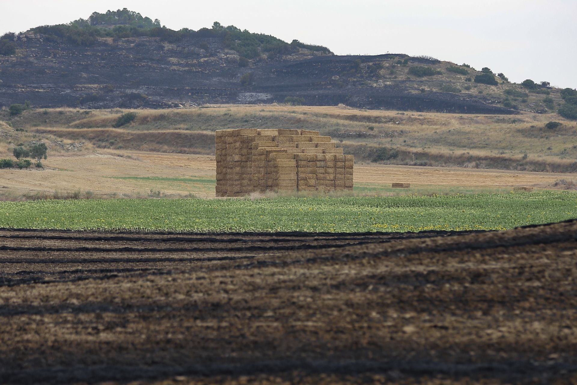 El día después del incendio en Fonzaleche y Gimileo