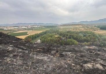 Calor, sequedad, viento y rayos: la combinación que desató ocho incendios a la vez en La Rioja