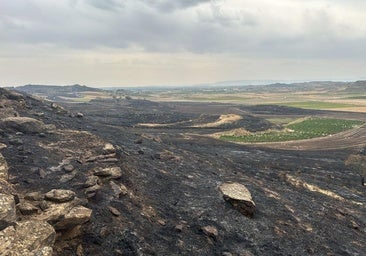 Controlados durante la noche todos los incendios activos en La Rioja