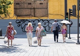 Viandantes en una calle de Logroño.
