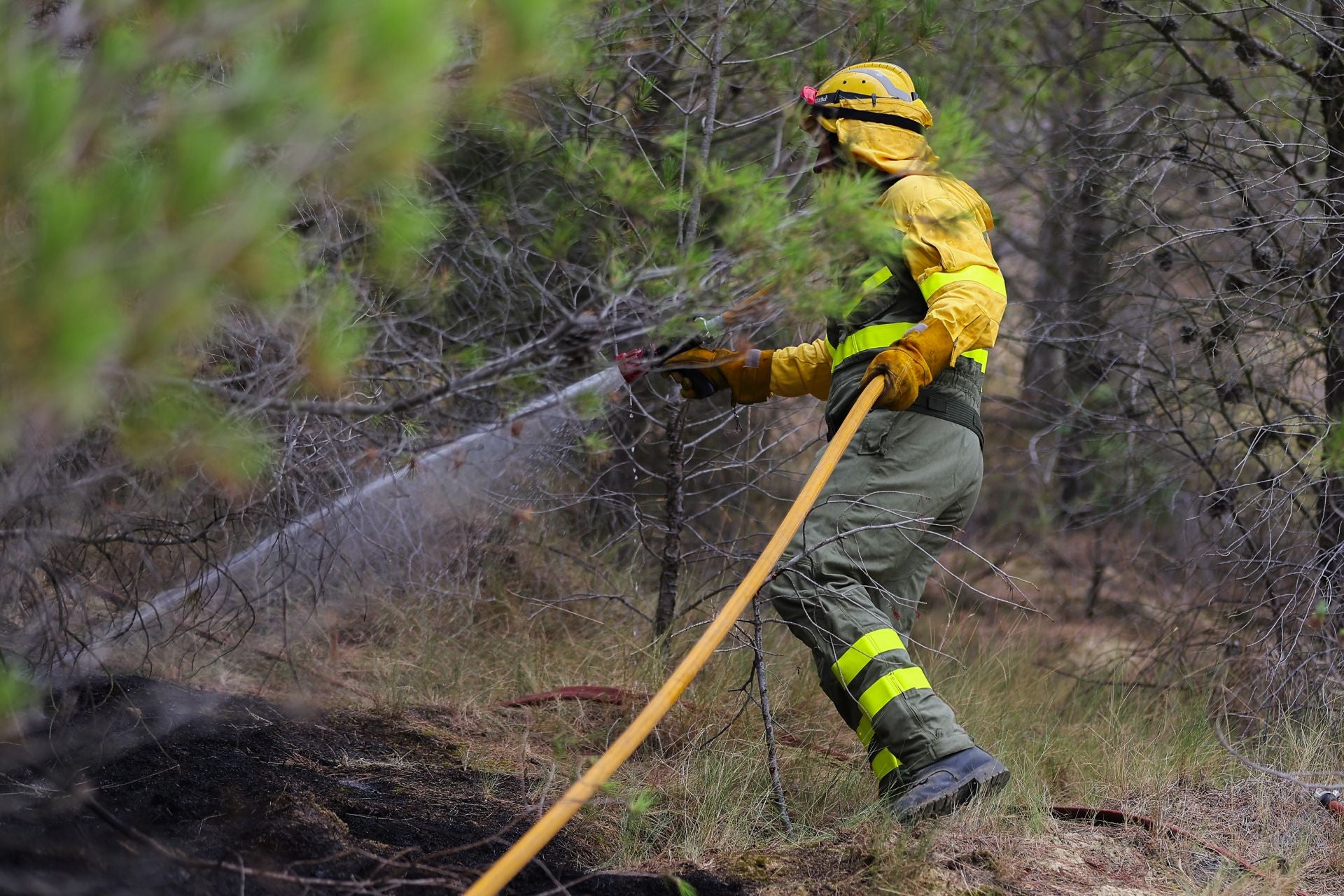 Un bombero forestal interviene en el incendio de Gimileo.